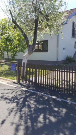 Apartman 